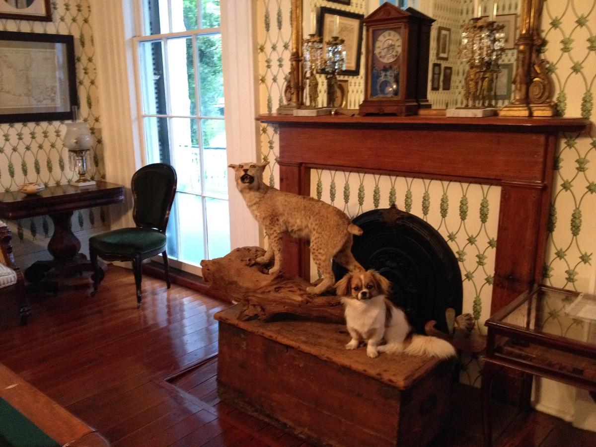 Stone House Musical B&B 纳奇兹 外观 照片